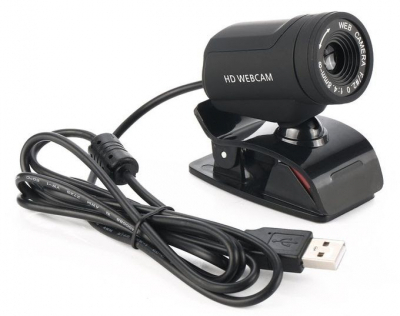 share a USB webcam